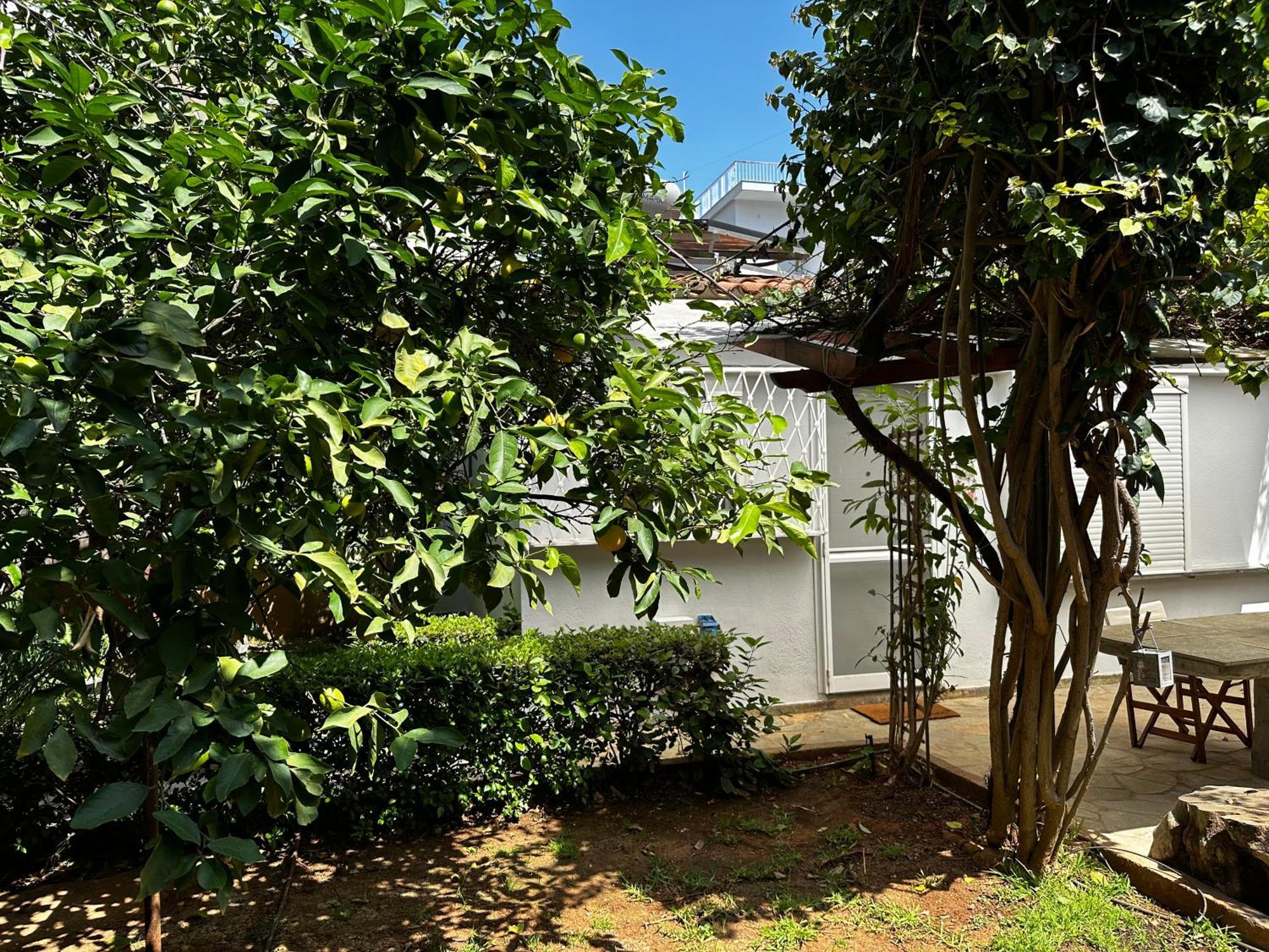 Antonis'S Garden House Leilighet Athen Eksteriør bilde